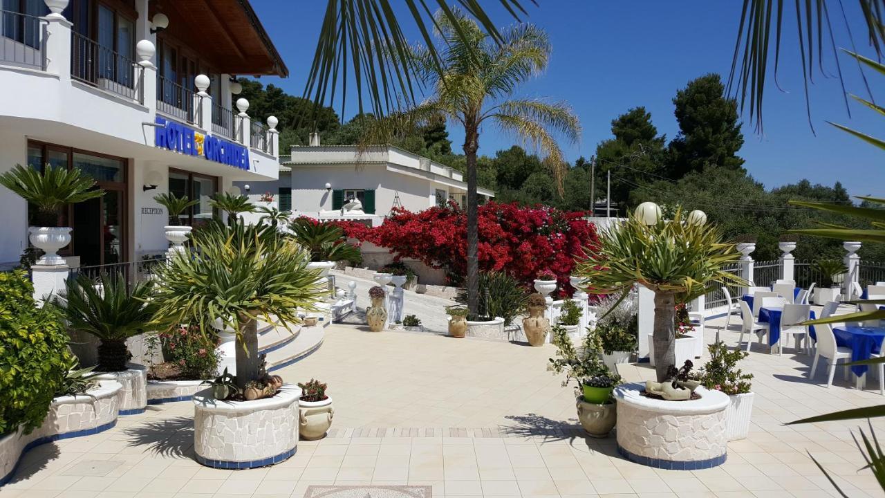 Hotel Orchidea