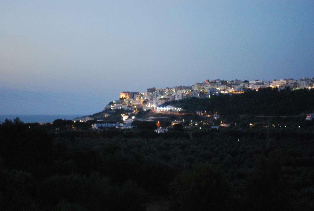 Hotel Orchidea 3*