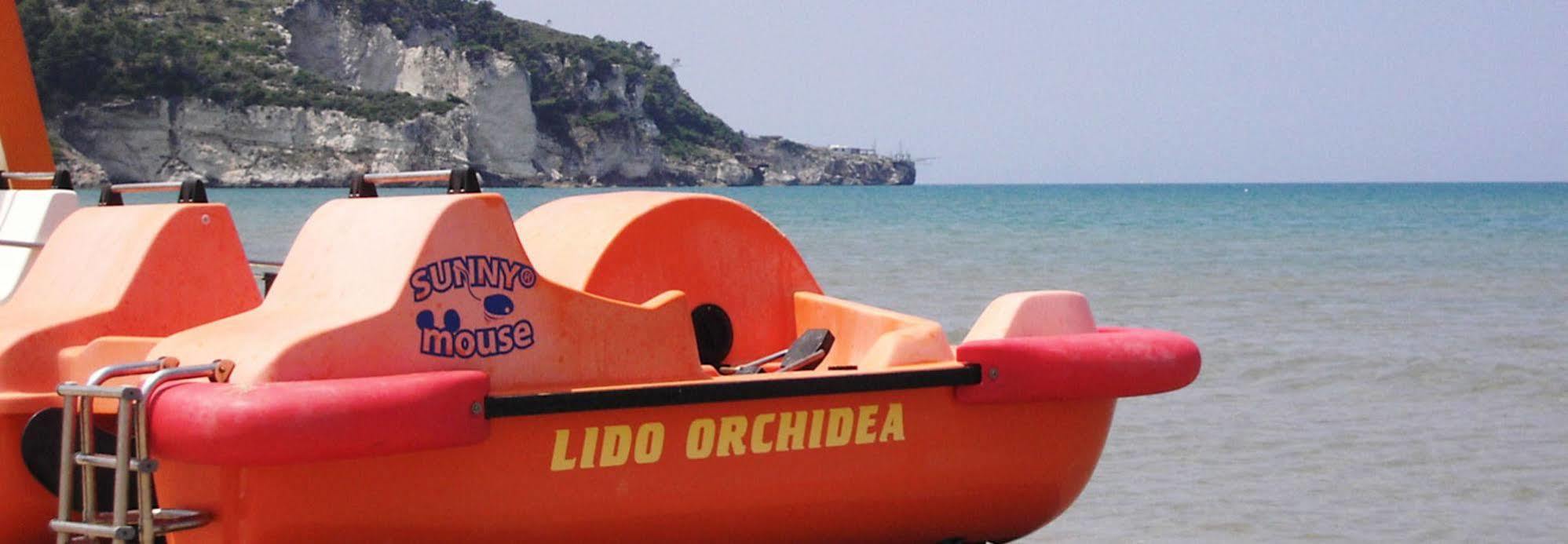 Orchidea 3* Peschici
